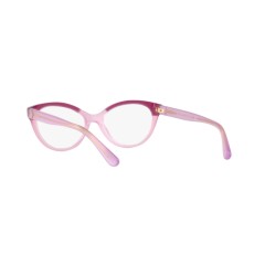 Polo PH 2204 - 5685 Top Fuxia On Opaline Rose