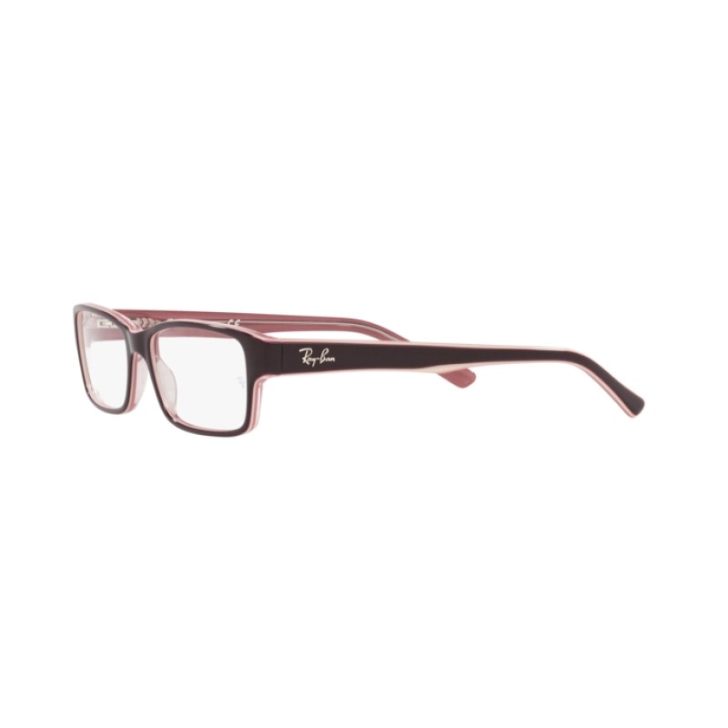 Ray-Ban RX 5169 - 8120 Brown On Trasparent Pink