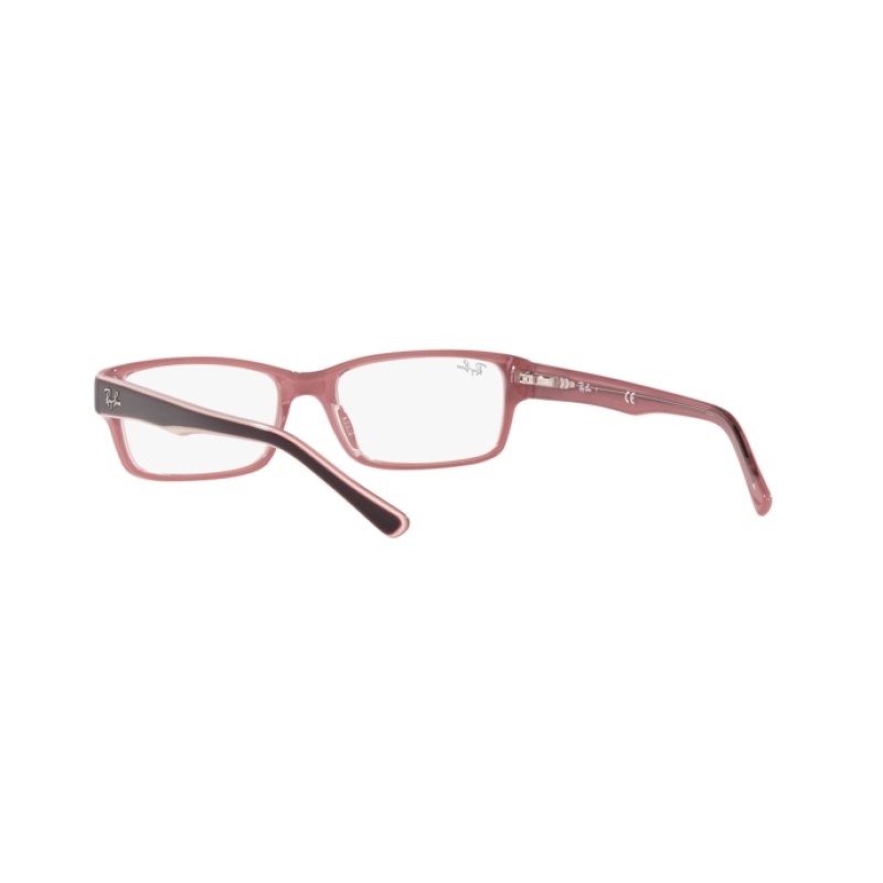 Ray-Ban RX 5169 - 8120 Brown On Trasparent Pink