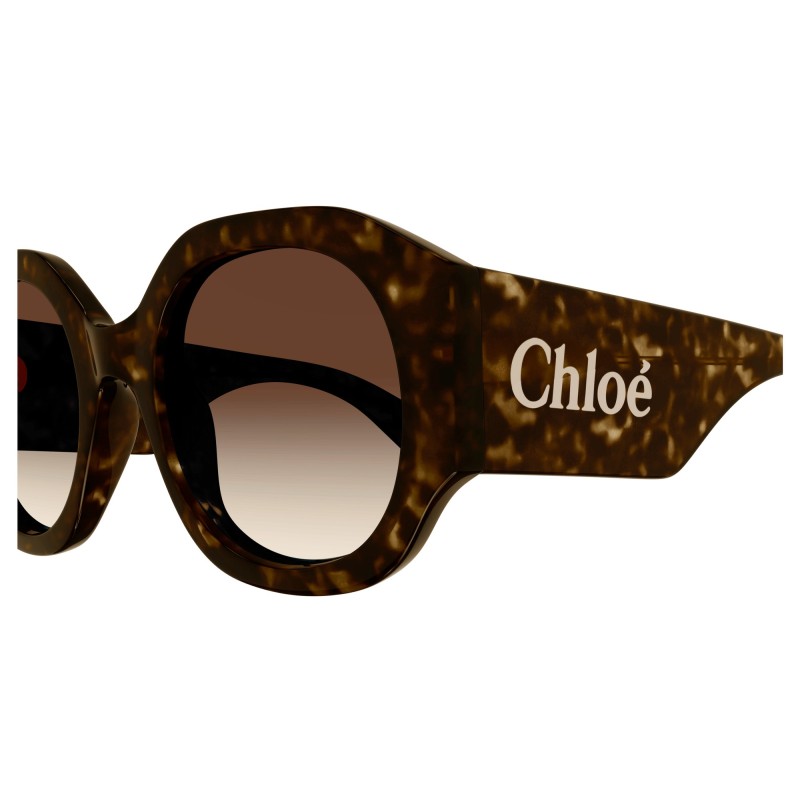 Chloe CH0234SK - 002 Havana
