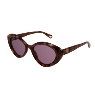 Chloé Ch0050s 005 Shiny Havana in Black Womens Accessories Sunglasses 