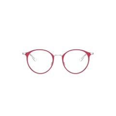 Ray-Ban Junior RY 1053 - 4066 Silver On Top Red