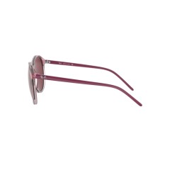 Ray-Ban RB 4371 - 640075 Trasparent Pink