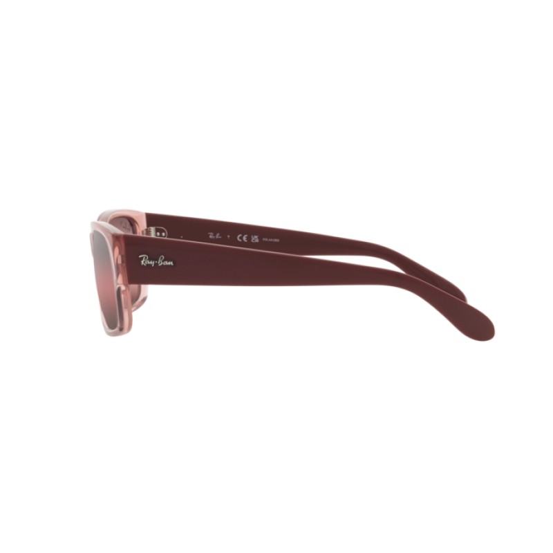 Ray-Ban RB 4388 - 6648G8 Transparent Pink