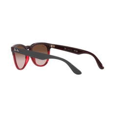 Ray-Ban RB 4471 Iris 663113 Grey On Transparent Red