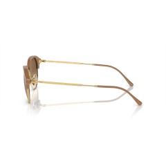 Ray-Ban RB 4429 - 672151 Beige On Gold