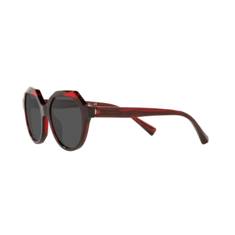 Alain Mikli A0 5067 Alete 004/87 Point. Red / Red / Point. Blac