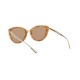 Giorgio Armani AR 8123 - 57796H Striped Brown | Sunglasses Woman