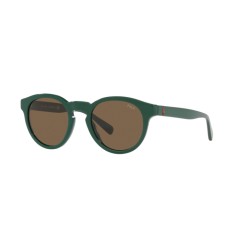 Polo PH 4184 - 542173 Shiny Forest Green