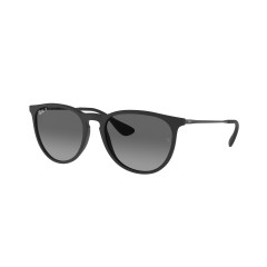 Ray-Ban RB 4171 Erika 622/T3 Black Rubber