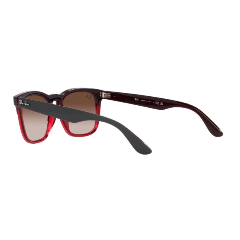 Ray-Ban RB 4487 Steve 663113 Grey On Transparent Red