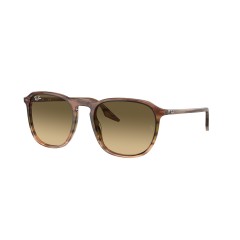 Ray-Ban RB 2203 - 13920A Striped Brown & Green